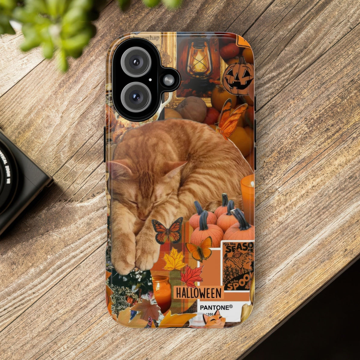 Aesthetic Cats Case - Vintage Kitty Graphic Tough Phone Cases