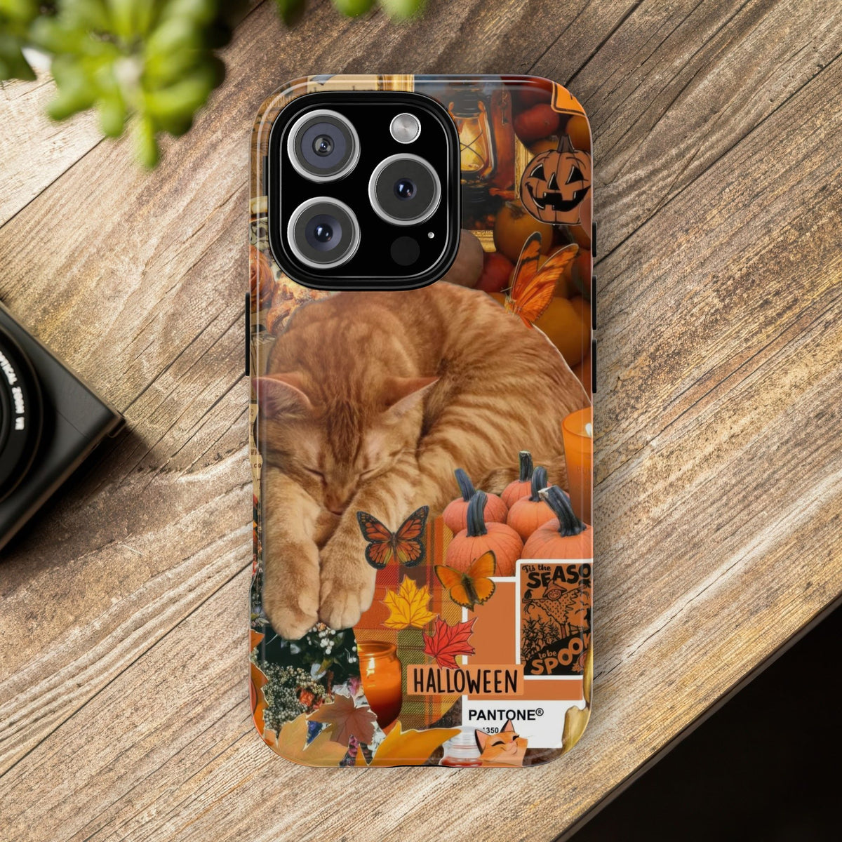 Aesthetic Cats Case - Vintage Kitty Graphic Tough Phone Cases