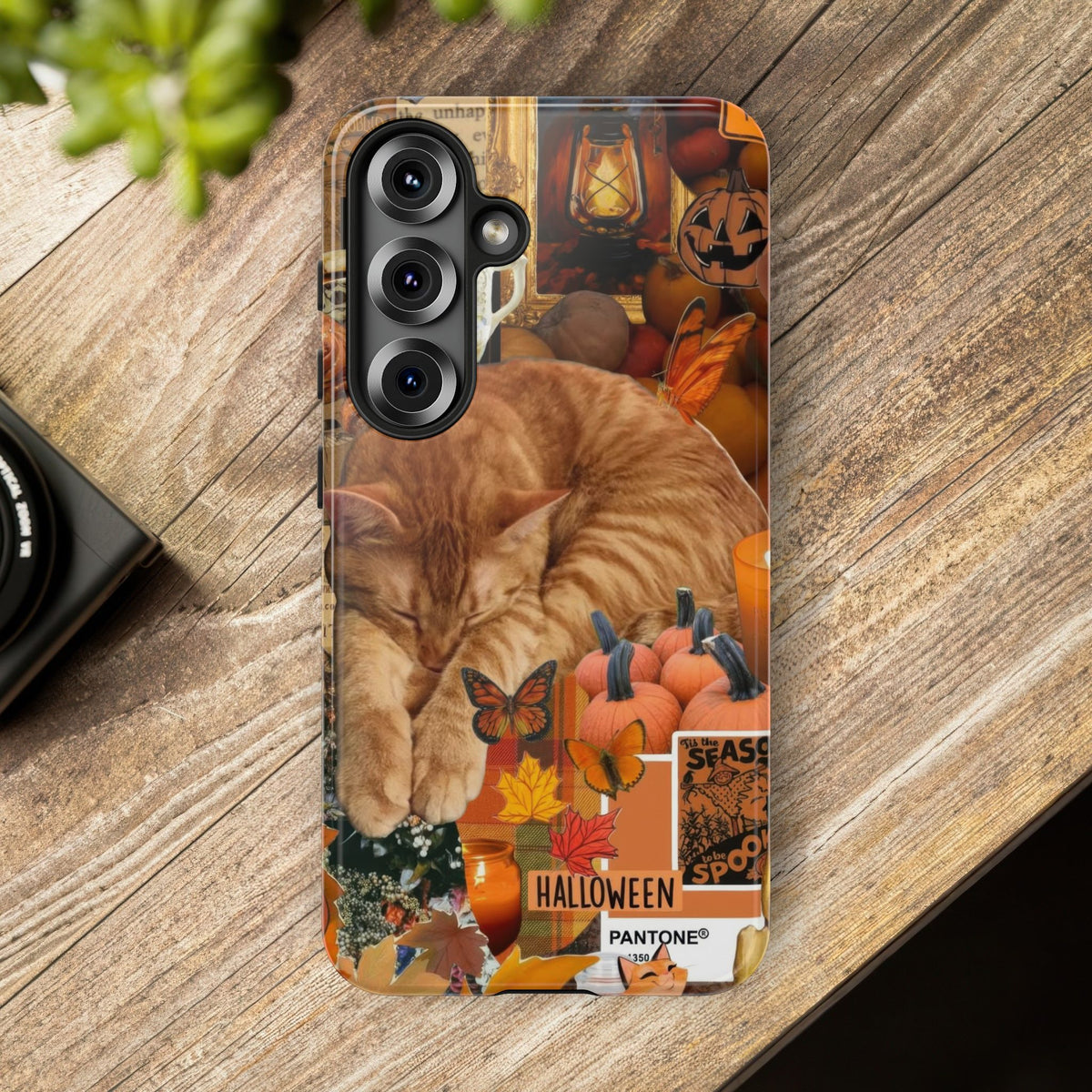 Aesthetic Cats Case - Vintage Kitty Graphic Tough Phone Cases