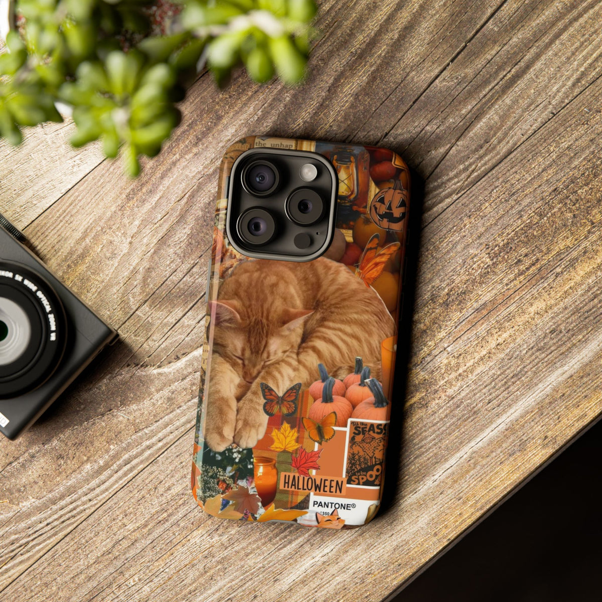 Aesthetic Cats Case - Vintage Kitty Graphic Tough Phone Cases