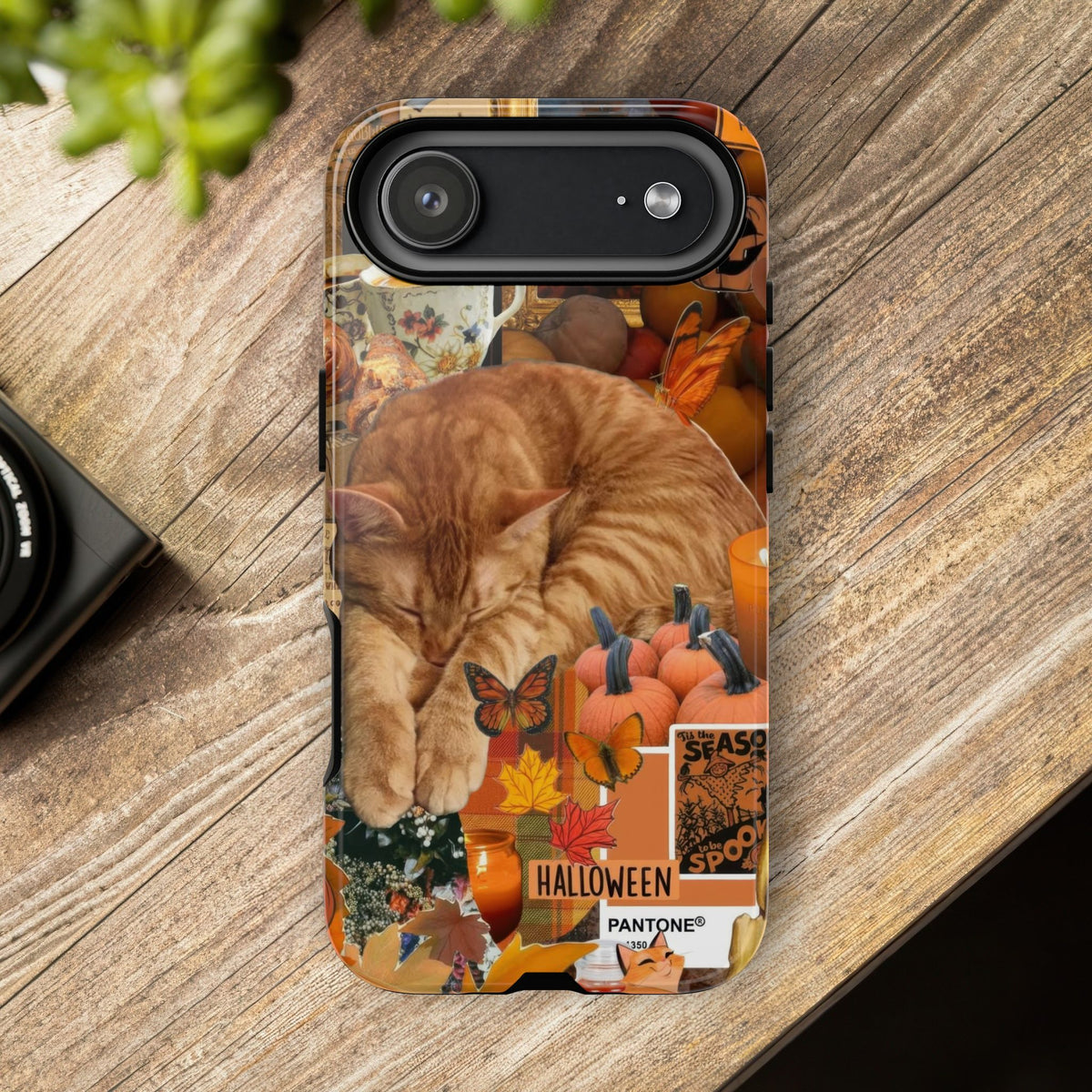 Aesthetic Cats Case - Vintage Kitty Graphic Tough Phone Cases