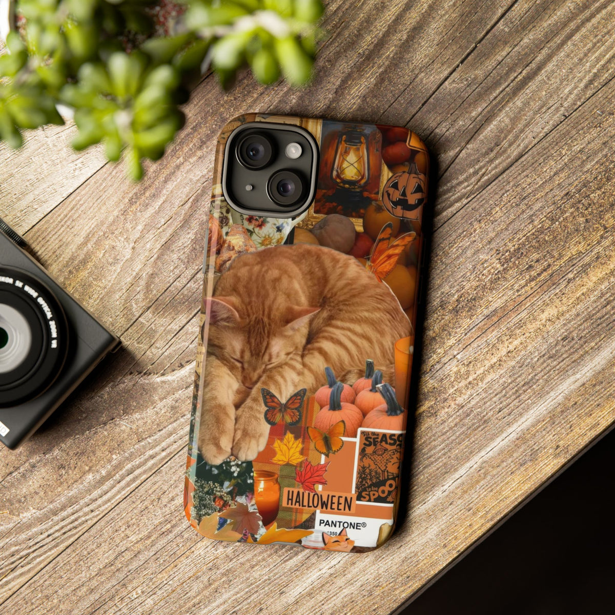 Aesthetic Cats Case - Vintage Kitty Graphic Tough Phone Cases