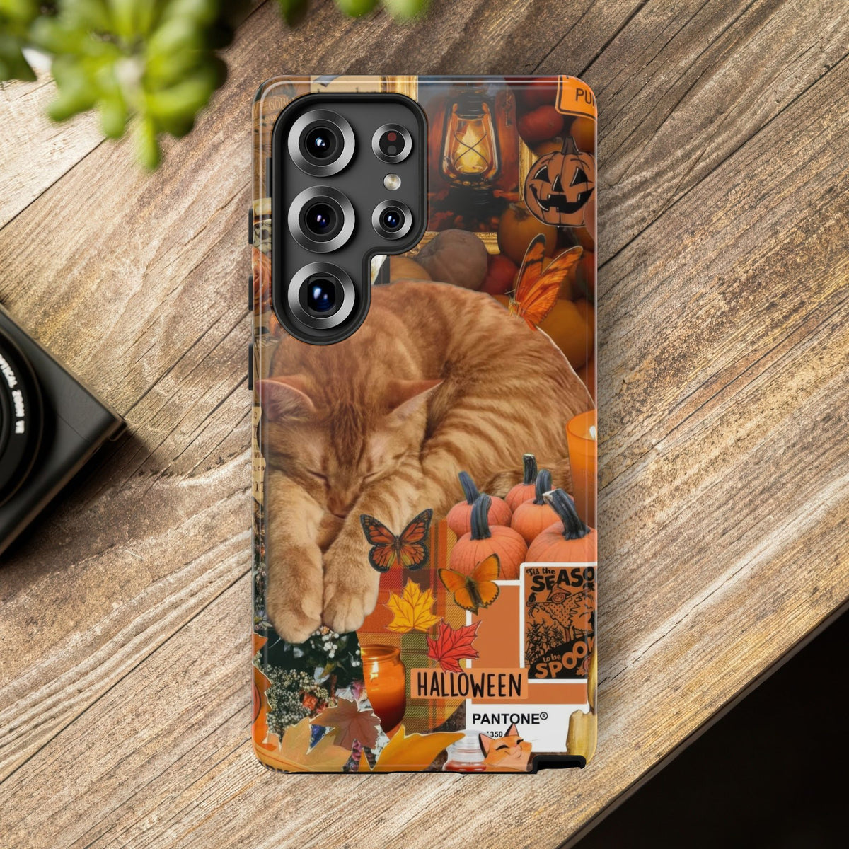 Aesthetic Cats Case - Vintage Kitty Graphic Tough Phone Cases
