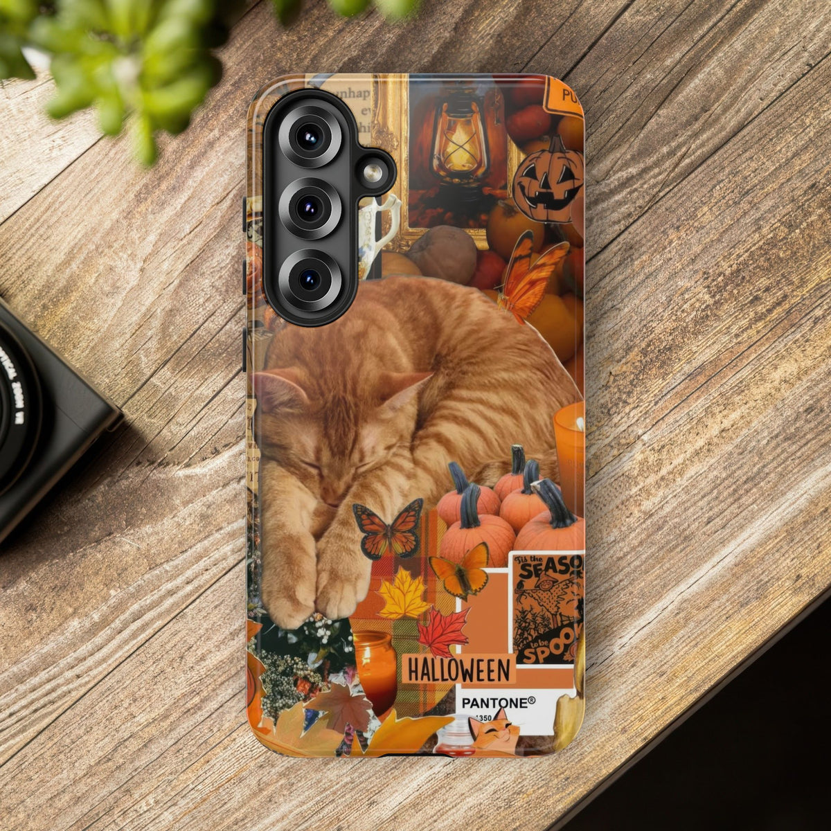Aesthetic Cats Case - Vintage Kitty Graphic Tough Phone Cases