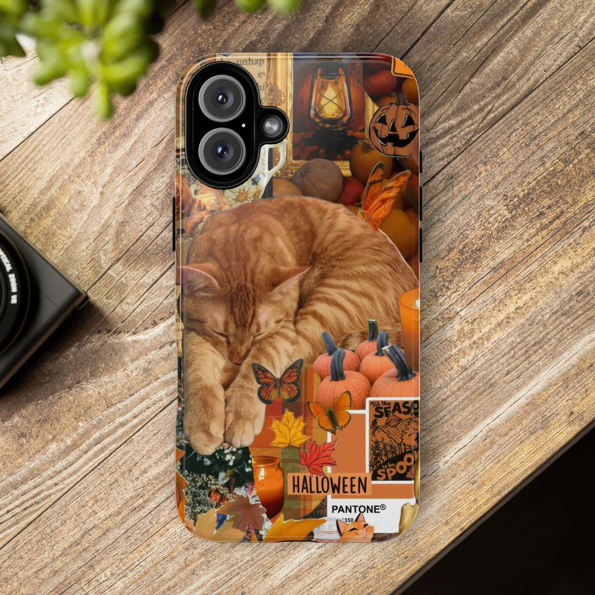 Aesthetic Cats Case - Vintage Kitty Graphic Tough Phone Cases