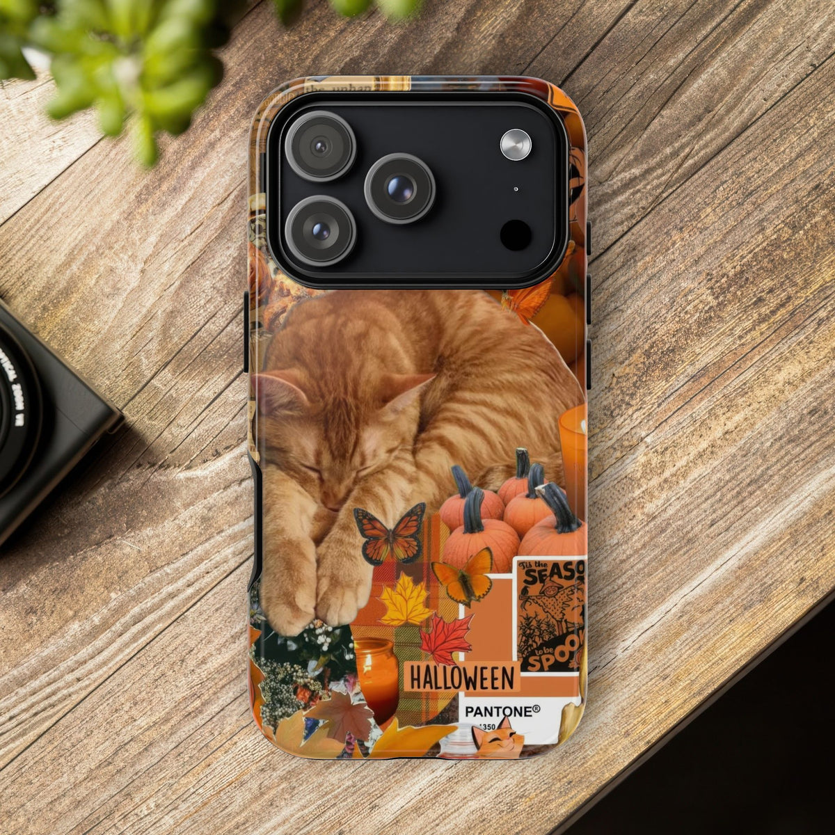 Aesthetic Cats Case - Vintage Kitty Graphic Tough Phone Cases
