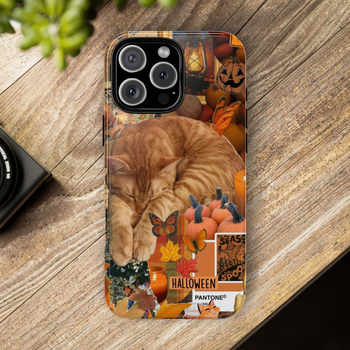 Aesthetic Cats Case - Vintage Kitty Graphic Tough Phone Cases