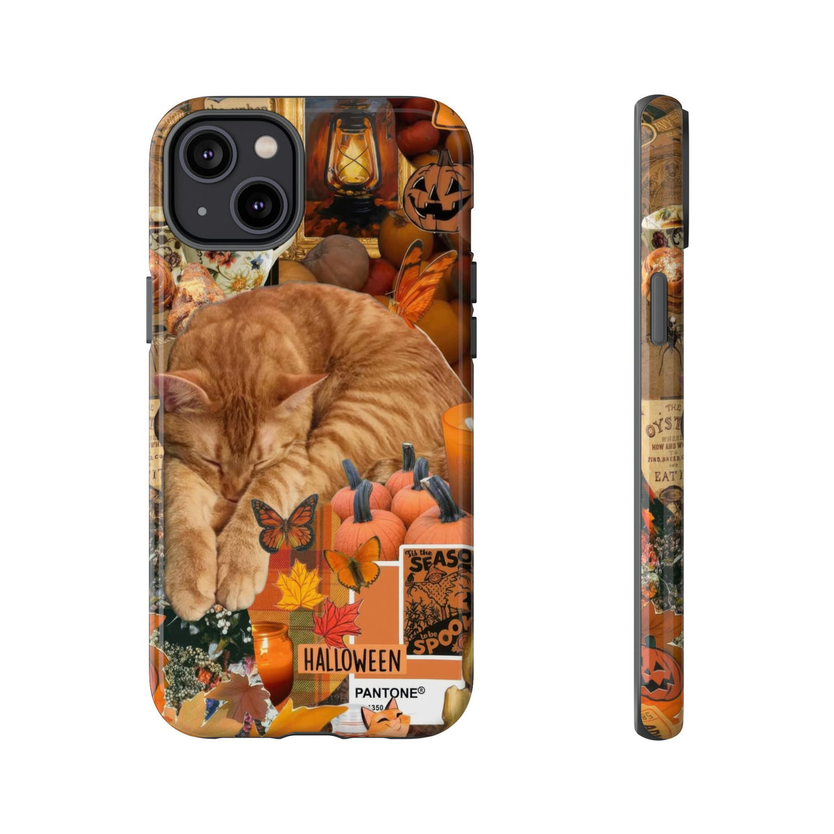 Aesthetic Cats Case - Vintage Kitty Graphic Tough Phone Cases