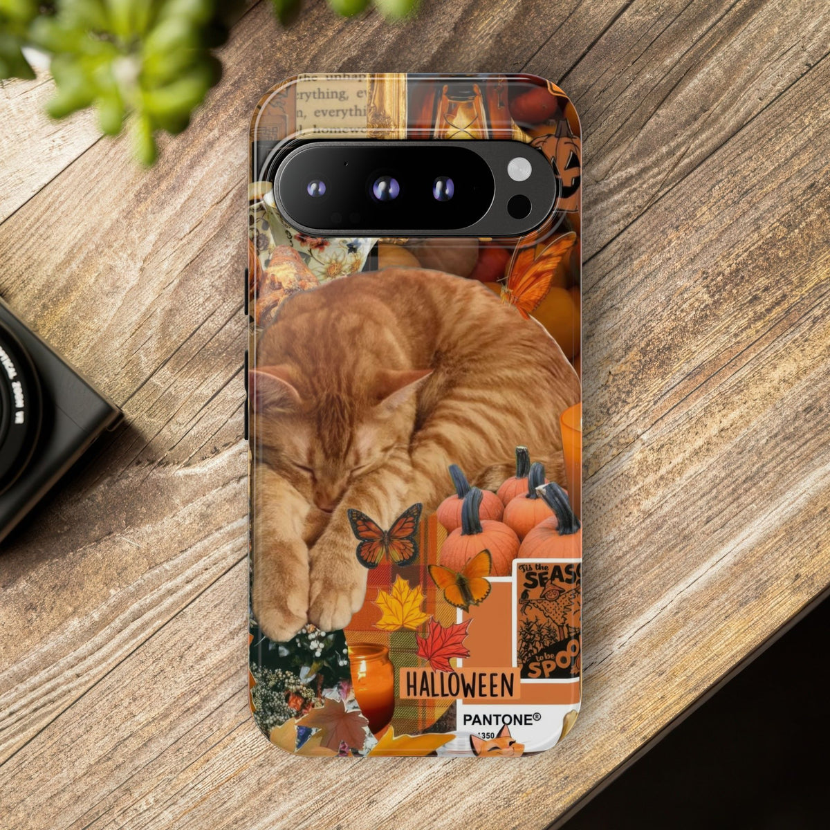 Aesthetic Cats Case - Vintage Kitty Graphic Tough Phone Cases