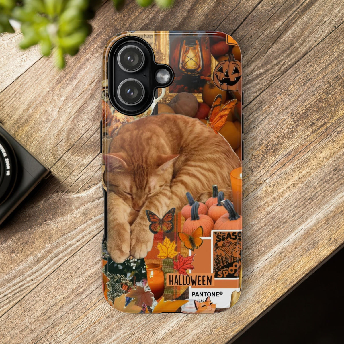 Aesthetic Cats Case - Vintage Kitty Graphic Tough Phone Cases