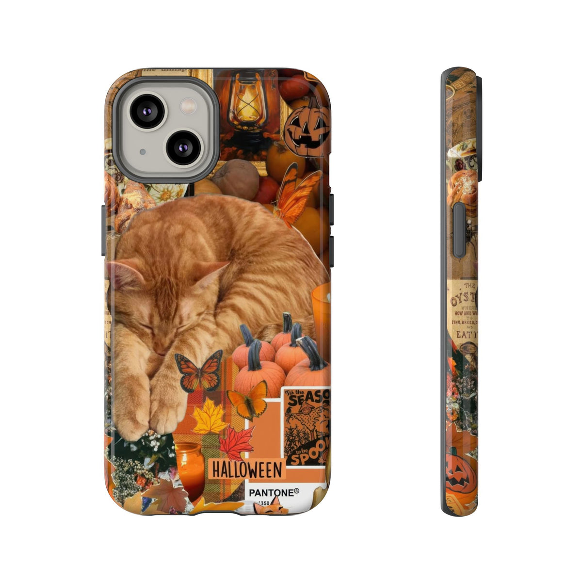 Aesthetic Cats Case - Vintage Kitty Graphic Tough Phone Cases