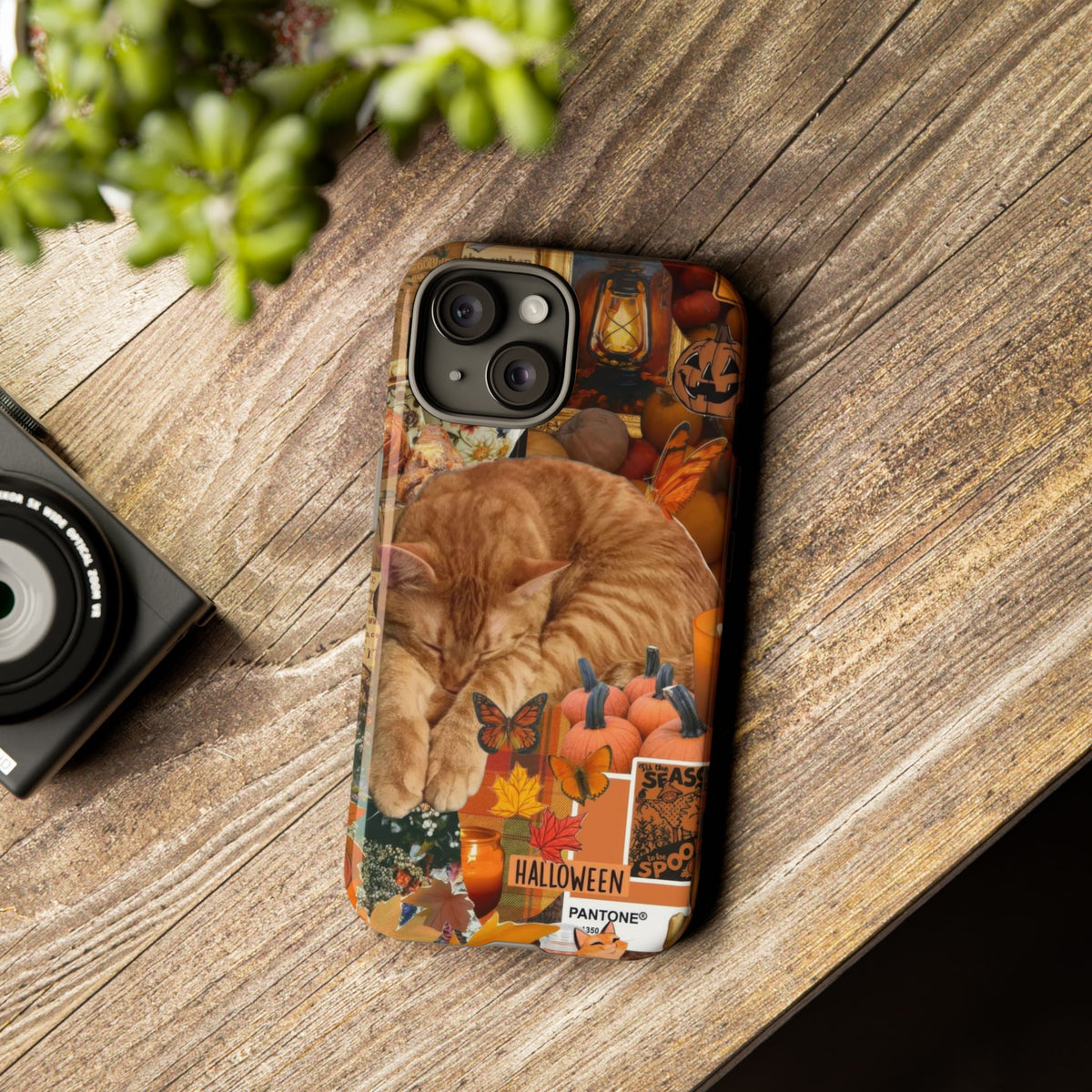 Aesthetic Cats Case - Vintage Kitty Graphic Tough Phone Cases