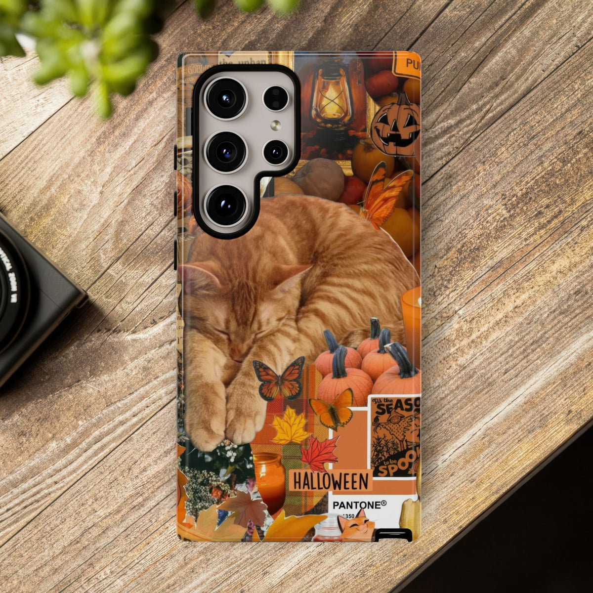 Aesthetic Cats Case - Vintage Kitty Graphic Tough Phone Cases